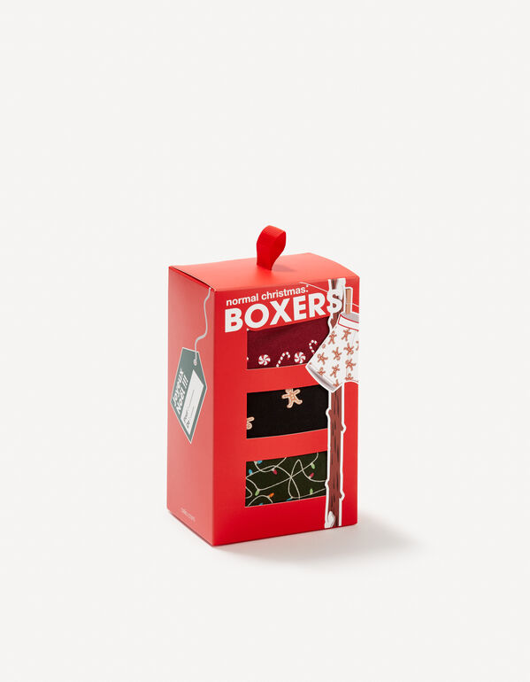 boîte noël 3 boxers imprimés fêtes