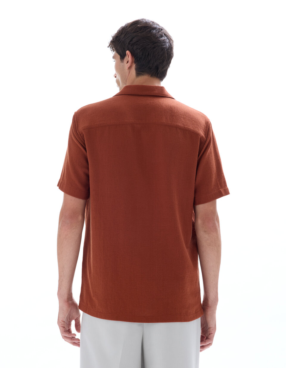 Chemise homme manches courtes à rayures | 1902