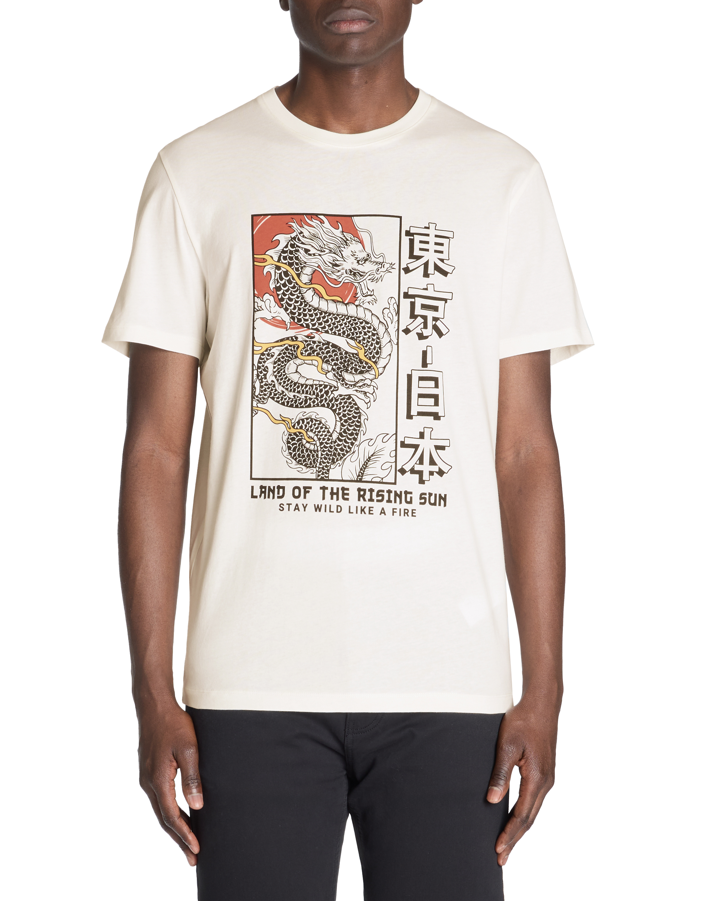 T-shirt straight col rond 100% coton - camaieu - Modalova