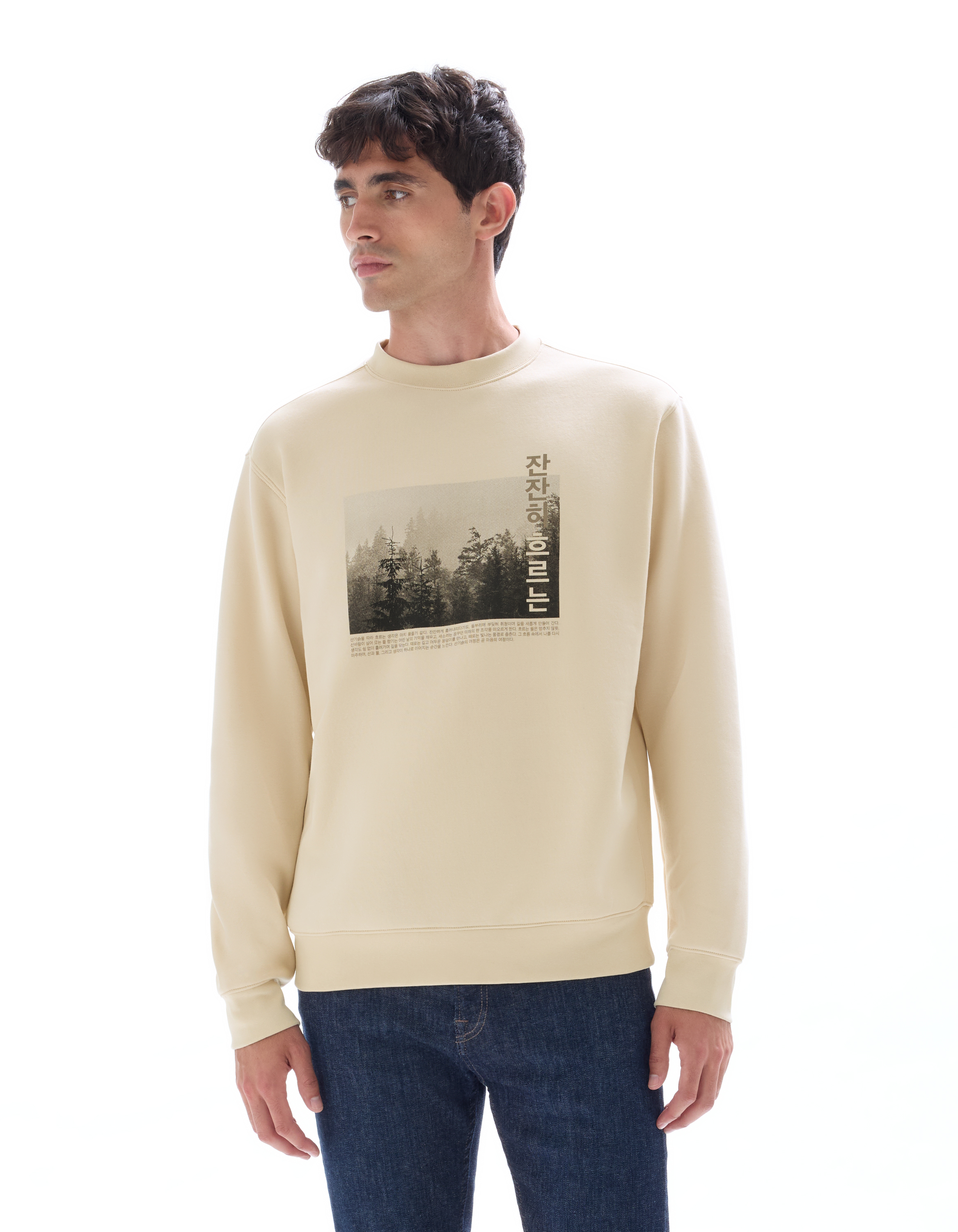Sweat regular col rond imprimé Asie - blanc - camaieu - Modalova