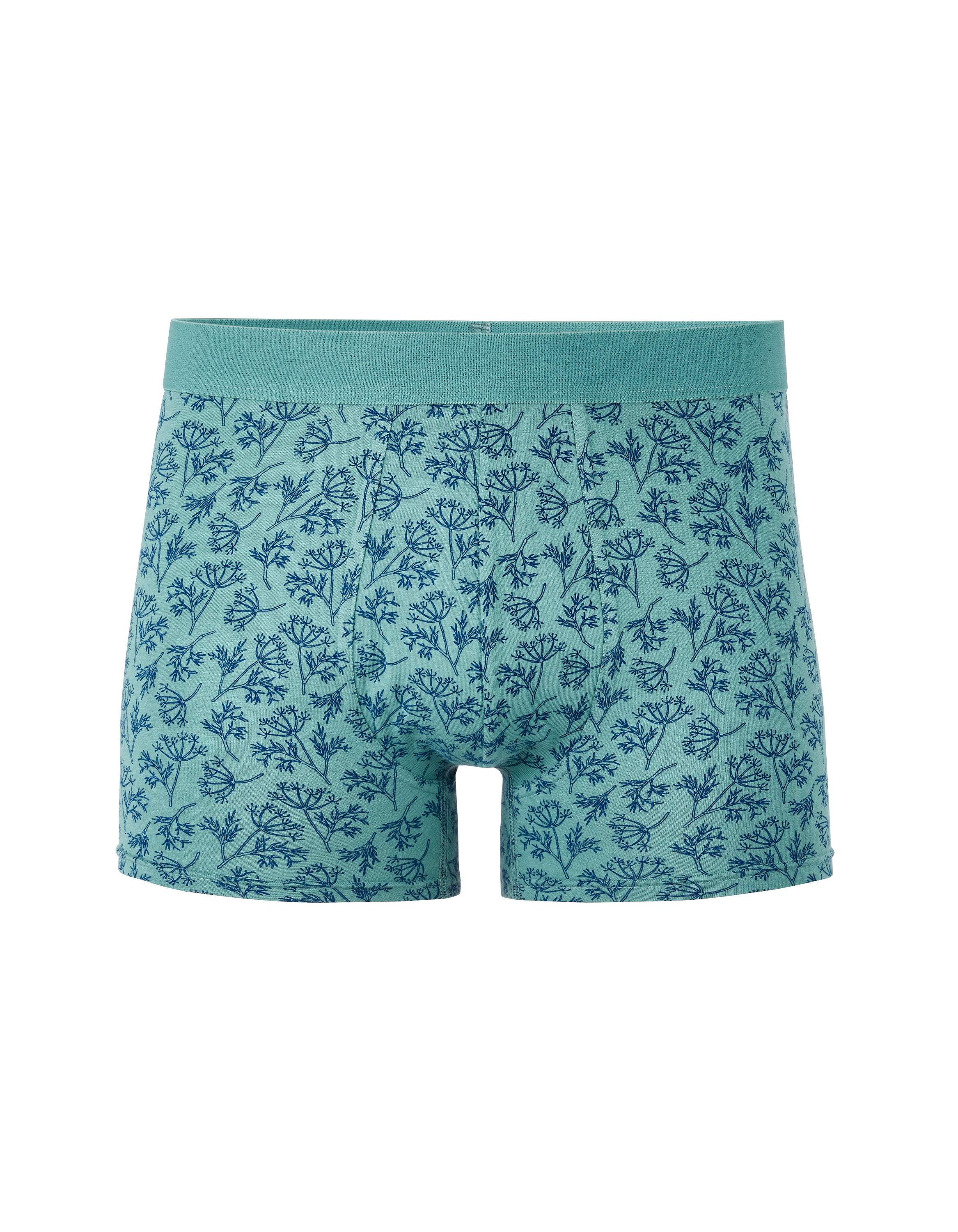 Boxer imprimé feuille - vert