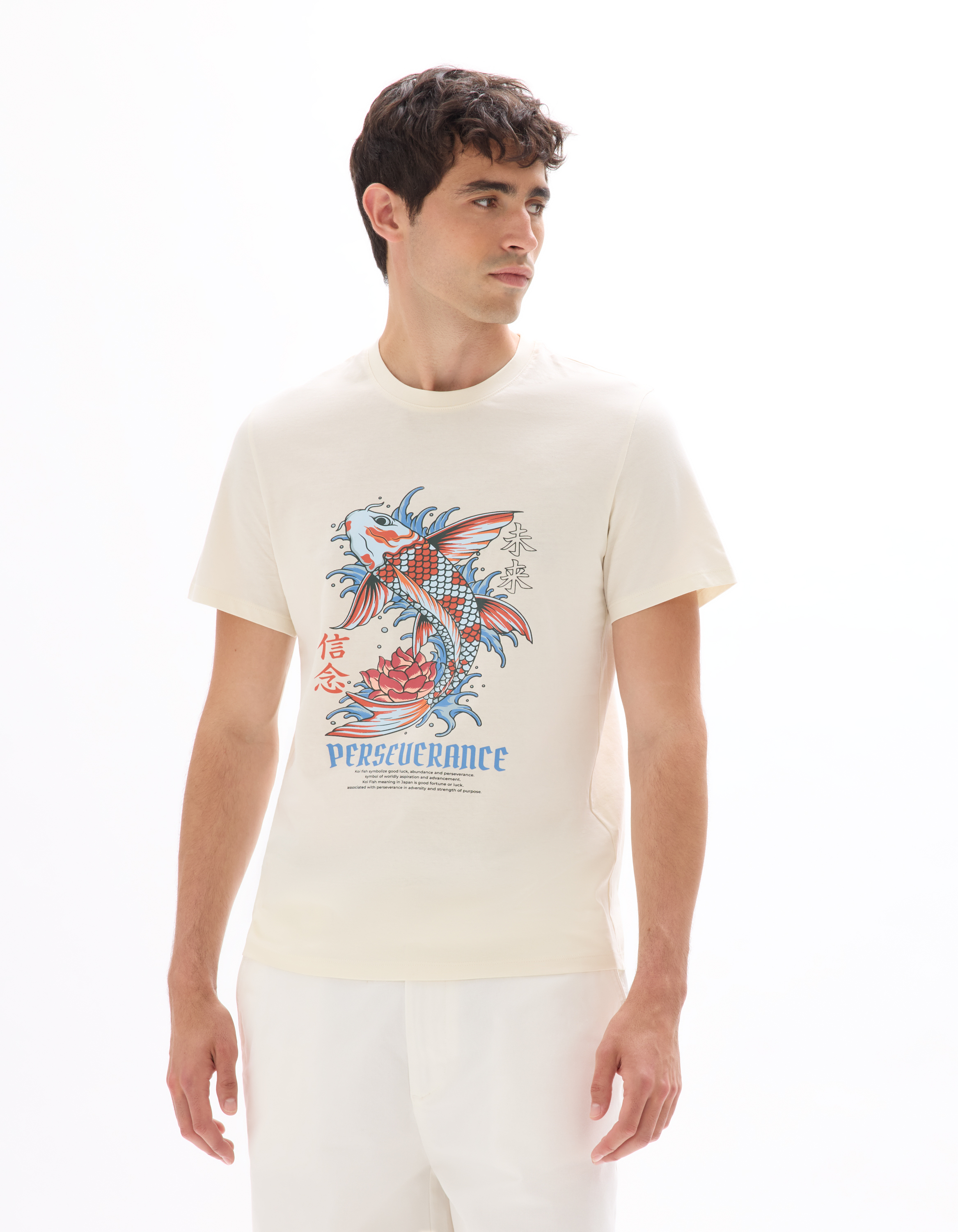 T-shirt regular col rond 100% coton imprimé asie - écru - camaieu - Modalova