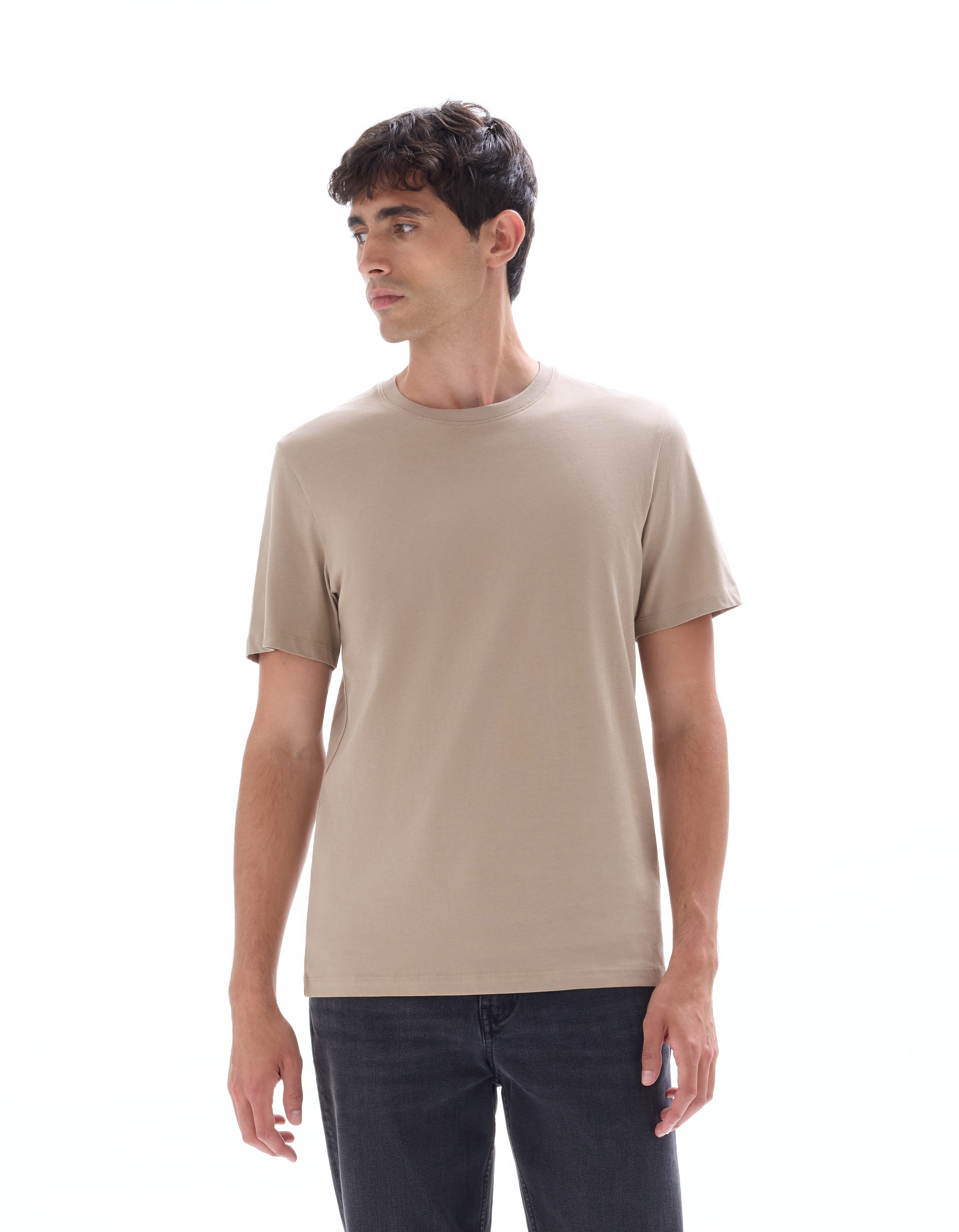 T-shirt regular col rond 100% coton - beige foncé - camaieu - Modalova